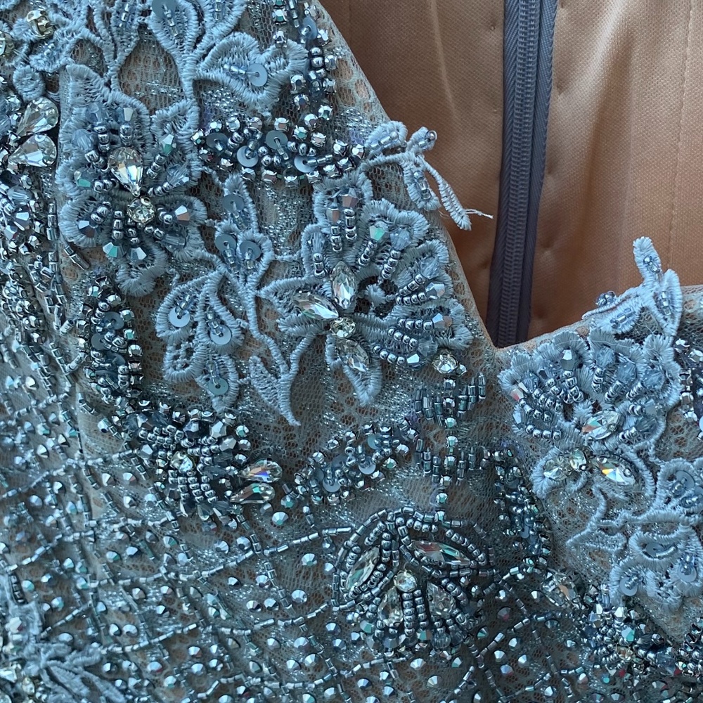 Terani Couture Silver/Nude Beaded Lace Formal - Picture 10 of 16